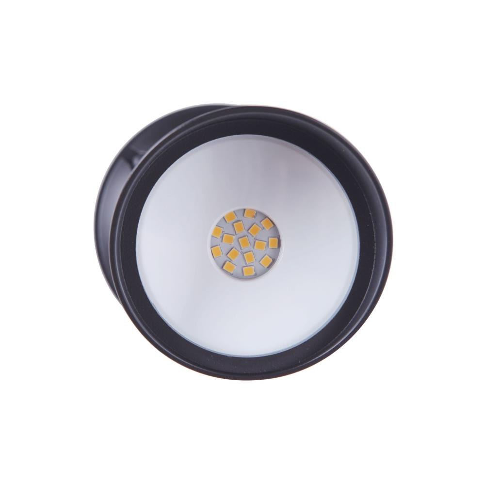 Z421-BZ-LED