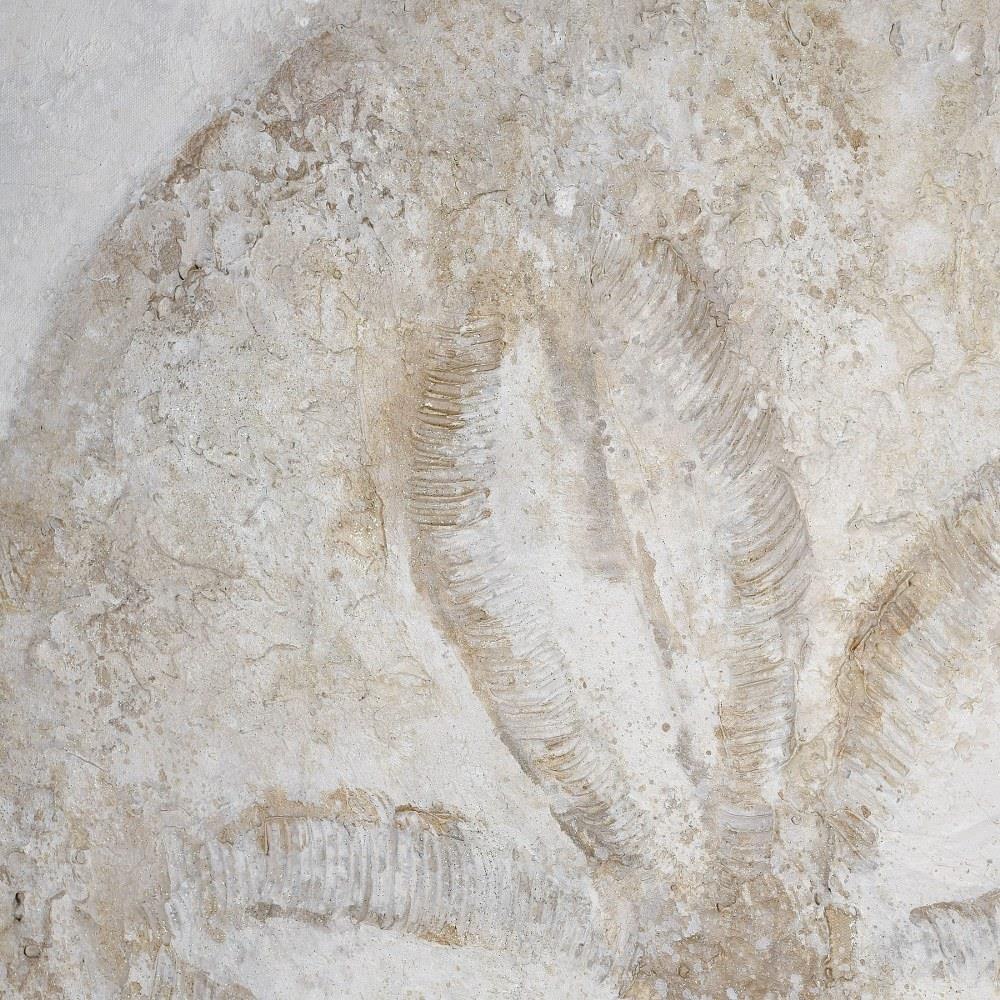 S0026-10162
