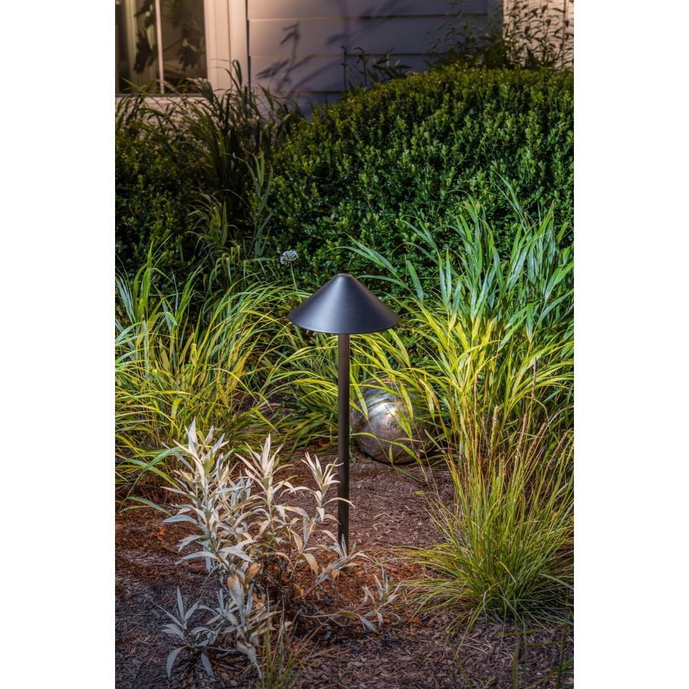 81-BEL-4442374