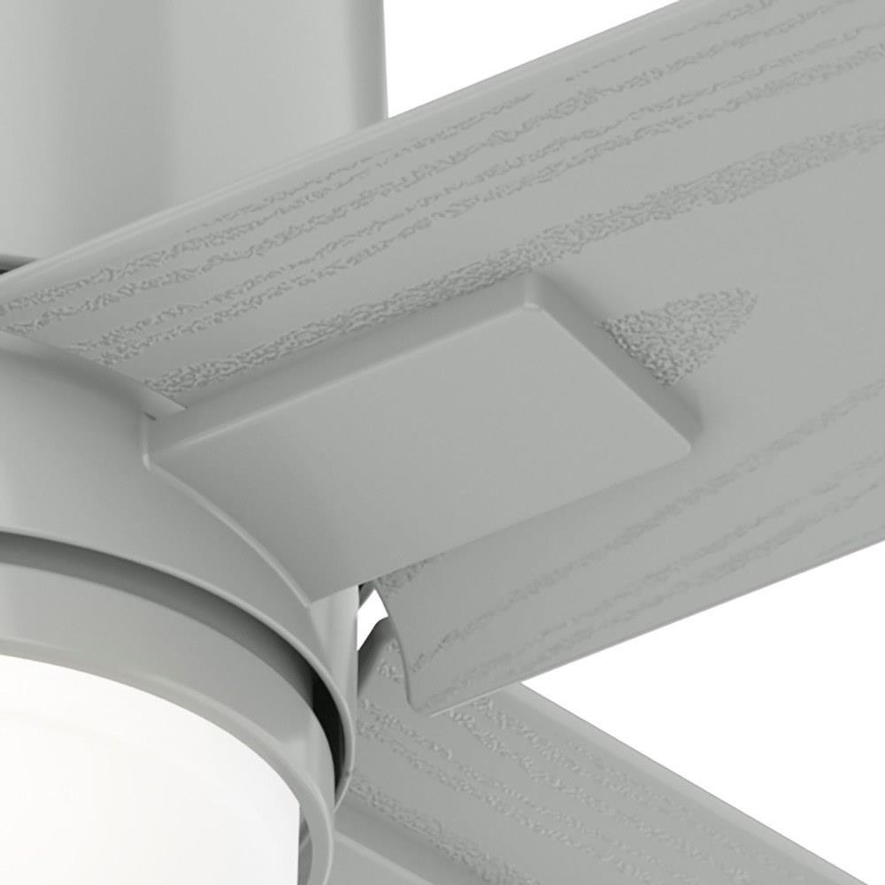 50595