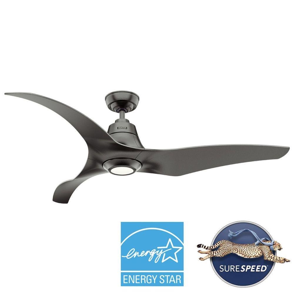53509