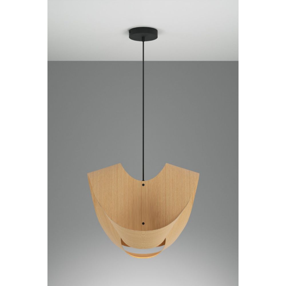 WEP-ELV-50-LE26-PBK-ASH-ASH