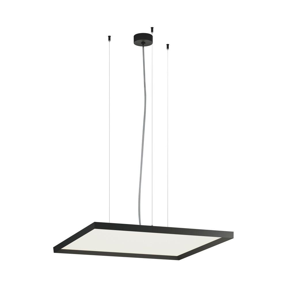 BINAP-SQ-24-D-BK