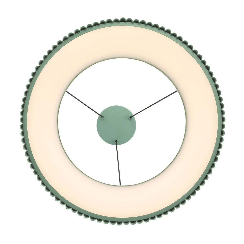 1146-20 PI