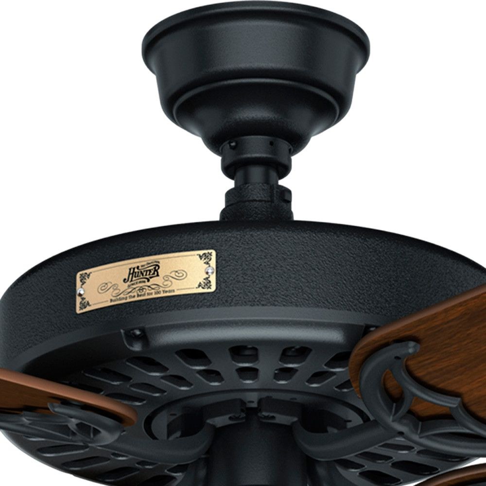 23838