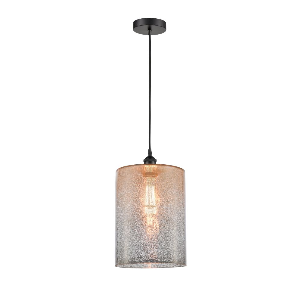 616-1P-BK-G116-L-LED