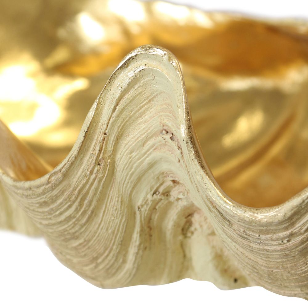 NWA21081DS
