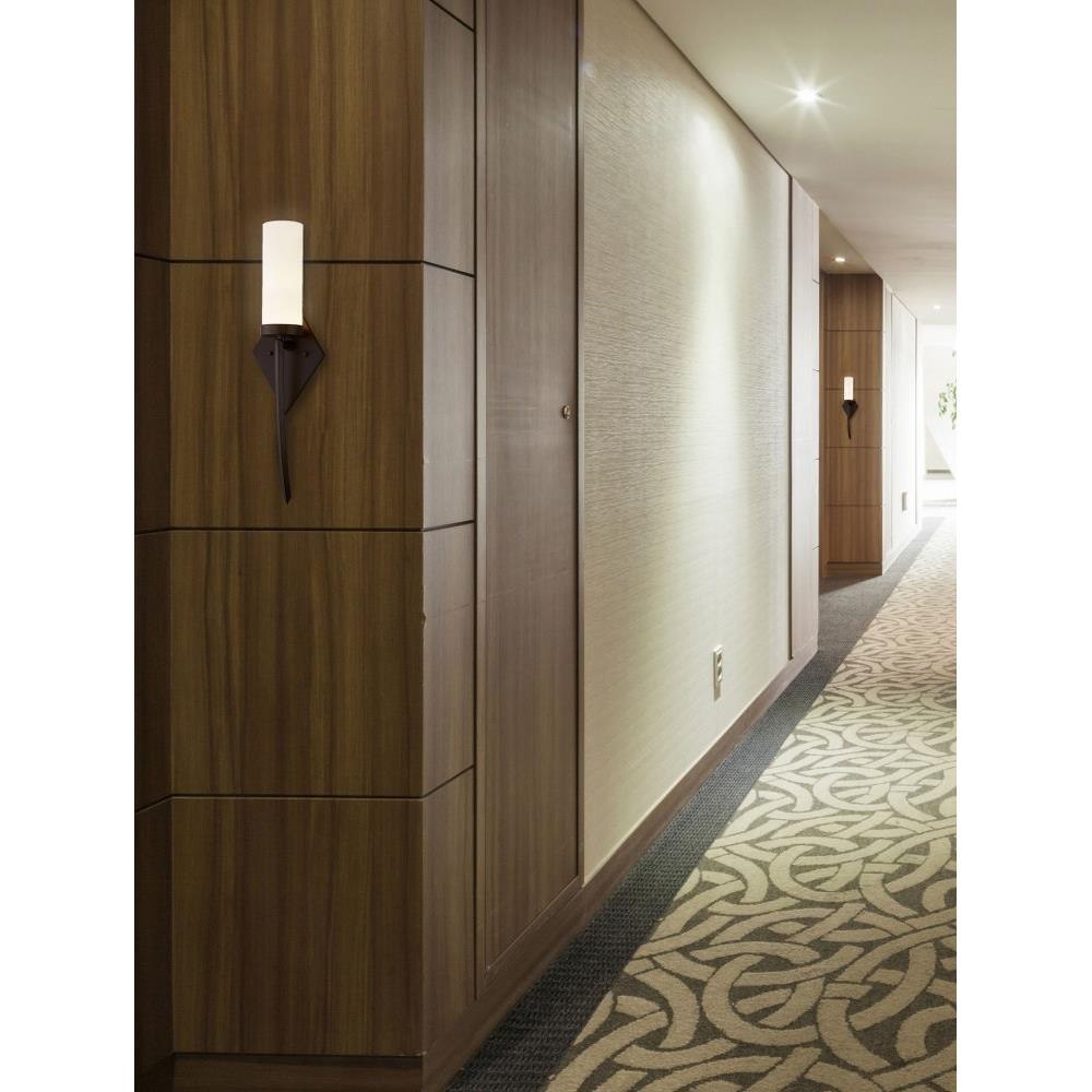 FSN-4031-OPAL-DBRZ