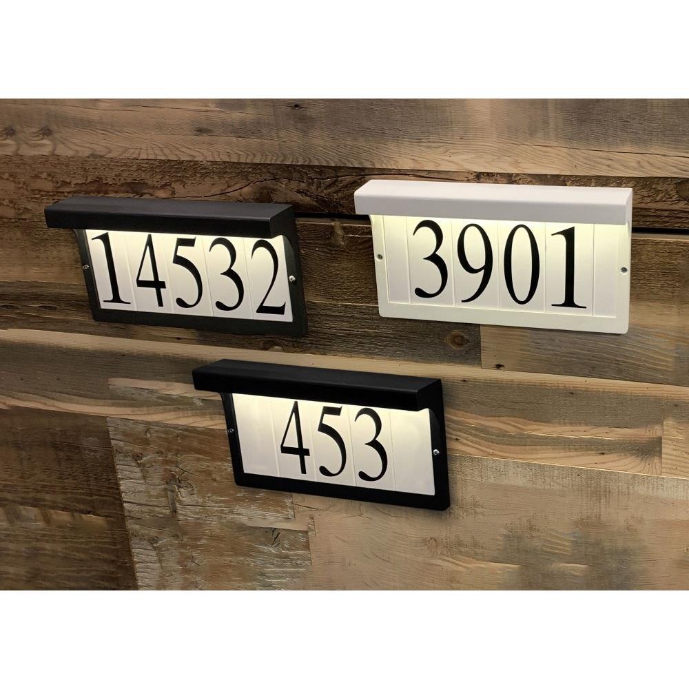 53616WT