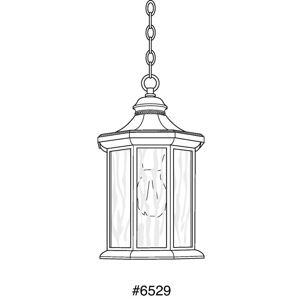 P6529-20