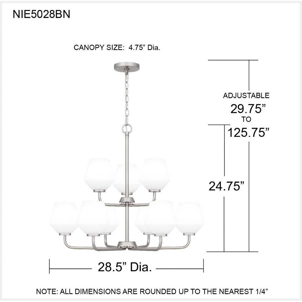 NIE5028BN