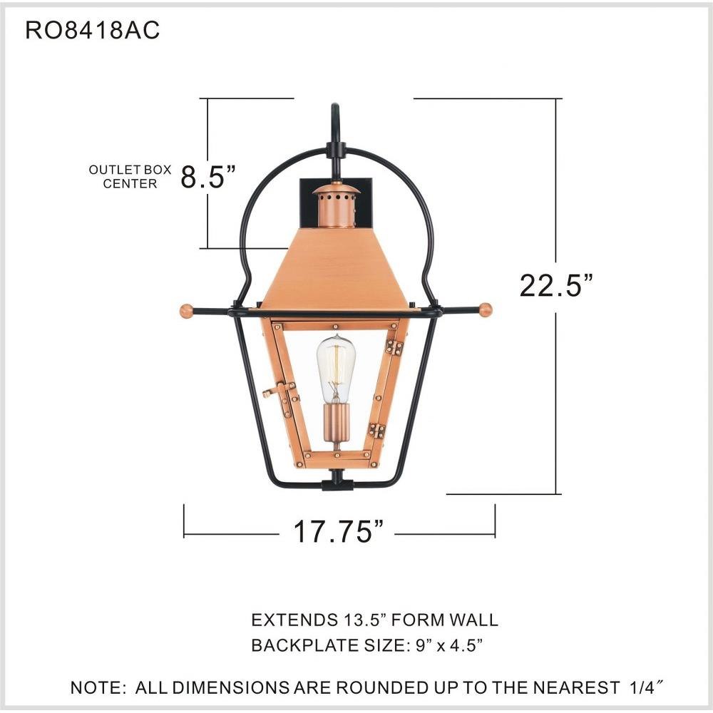 RO8418AC