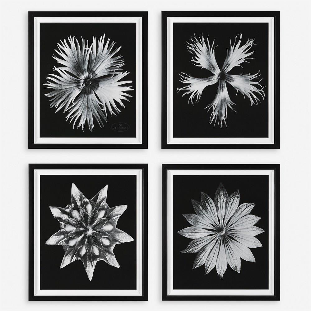 41427