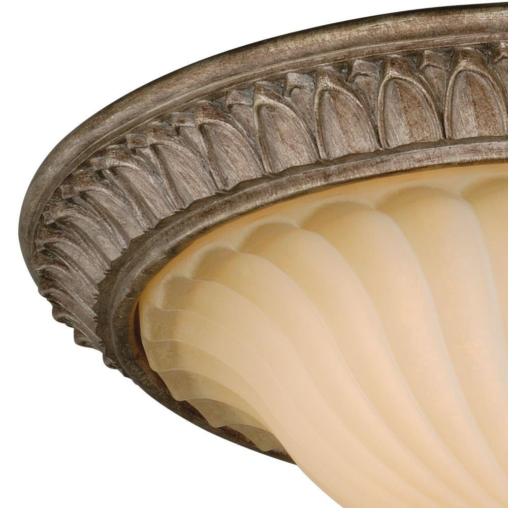 C0081