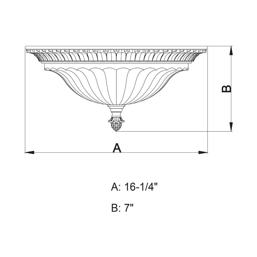 C0081